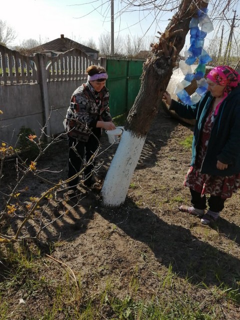 photo 16 04 2025 01