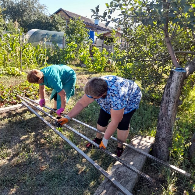 photo 26 08 2025 04